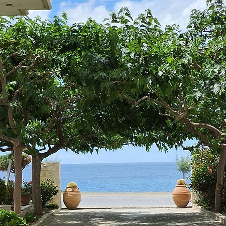 Eirini Apts On The Beach Psari Forada Exterior photo