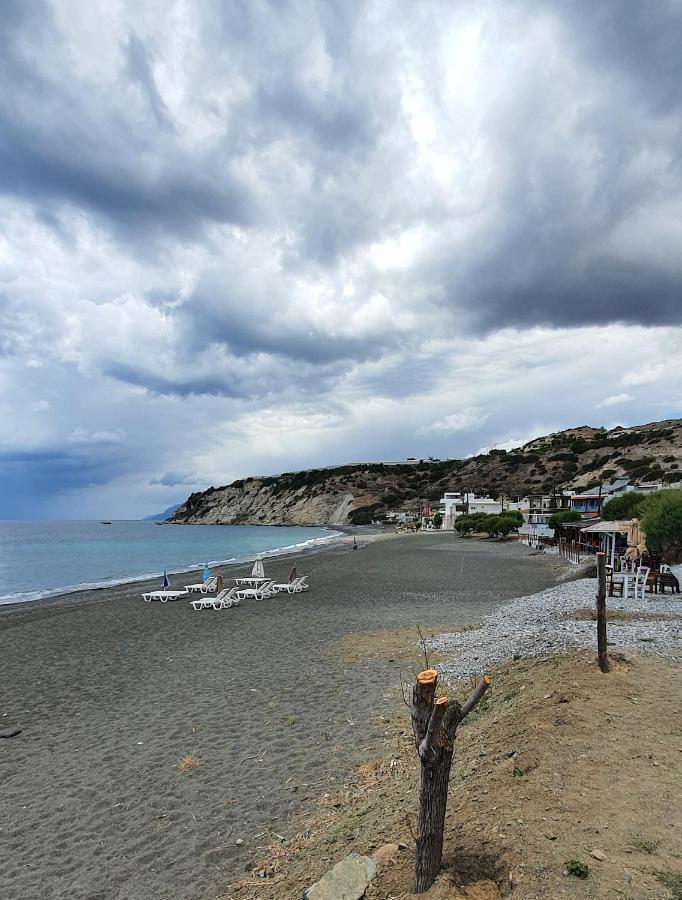 Eirini Apts On The Beach Psari Forada Exterior photo